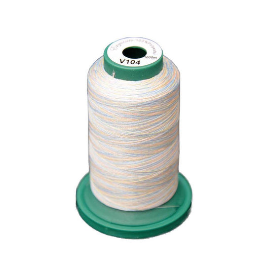 Medley™ Variegated Embroidery Thread - Pastels - V104