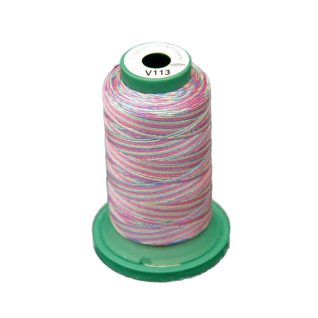 Medley™ Variegated Embroidery Thread - Carnival - V113