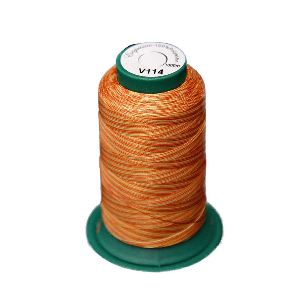 Medley™ Variegated Embroidery Thread - Amber Glow - V114